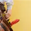 Handyman repair service in Kansas City, MO for home fixes and improvements